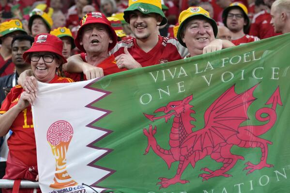Welsh hot sale supporters hats